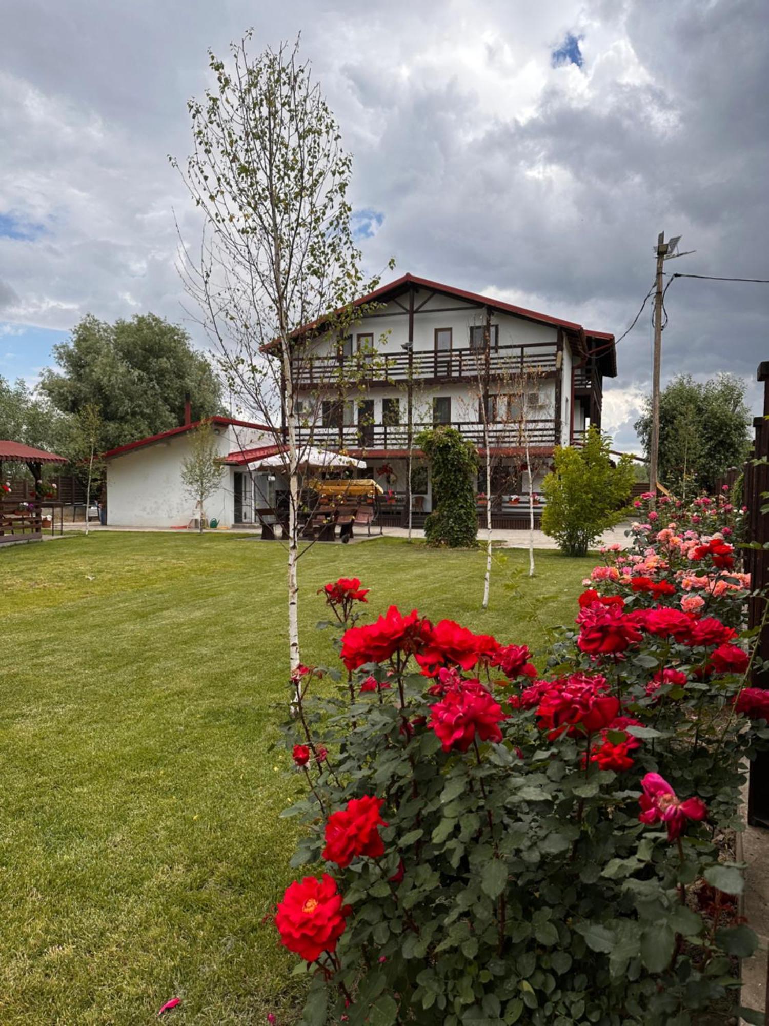 Casa Carp Calarasi Otel Dış mekan fotoğraf